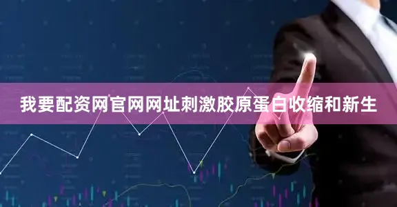 我要配资网官网网址刺激胶原蛋白收缩和新生